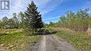 4778 Holborn Road, East Gwillimbury, ON  - Outdoor With View 