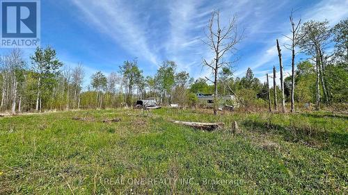 4778 Holborn Road, East Gwillimbury, ON - Outdoor With View