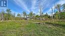 4778 Holborn Road, East Gwillimbury, ON  - Outdoor With View 