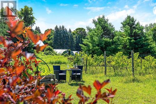5126 Ninth Line, Erin, ON - Outdoor