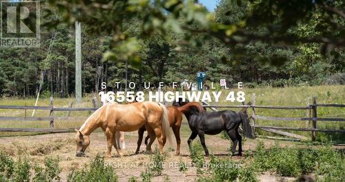 16558 Highway 48, Whitchurch-Stouffville, ON - Outdoor