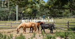 16558 HIGHWAY 48 Whitchurch-Stouffville, ON L4A 7X4