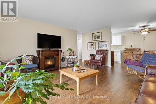 505 - 264 Grantham Avenue, St. Catharines (Carlton/Bunting), ON - Indoor Photo Showing Living Room With Fireplace