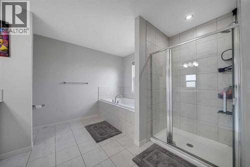132 Howse Crescent Ne, Calgary, AB - Indoor Photo Showing Bathroom