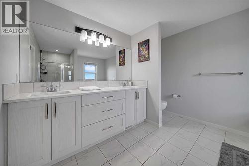 132 Howse Crescent Ne, Calgary, AB - Indoor Photo Showing Bathroom