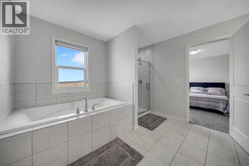 132 Howse Crescent Ne, Calgary, AB - Indoor Photo Showing Bathroom