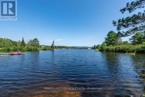 171 Mackey Creek Road, Head, Clara And Maria, ON 