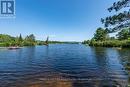 171 Mackey Creek Road, Head, Clara And Maria, ON 