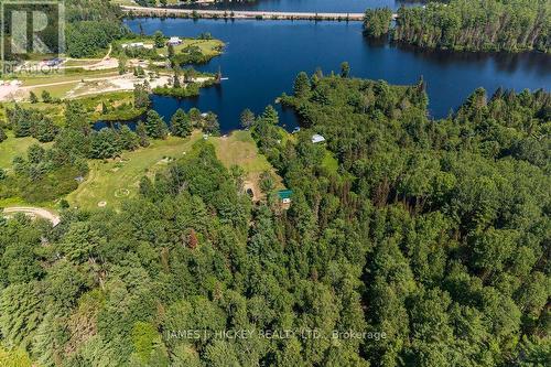 171 Mackey Creek Road, Head, Clara And Maria, ON 