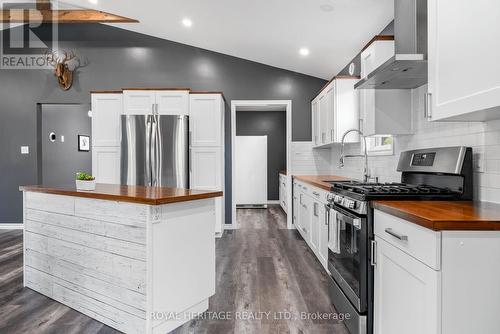 20195 62 Highway, Tudor And Cashel (Tudor Ward), ON - Indoor Photo Showing Kitchen With Upgraded Kitchen