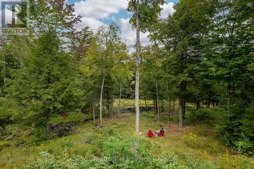 20195 62 Highway, Tudor And Cashel (Tudor Ward), ON - Outdoor With View