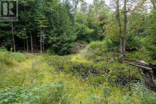 20195 62 Highway, Tudor And Cashel (Tudor Ward), ON - Outdoor With View
