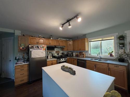 16 James Road, Kenora, ON - Indoor Photo Showing Kitchen With Double Sink