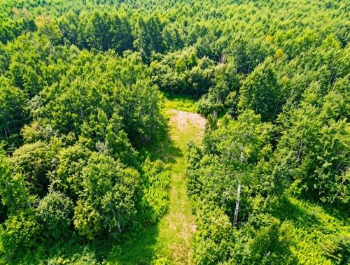 161 Valley Road, Dorion, ON 