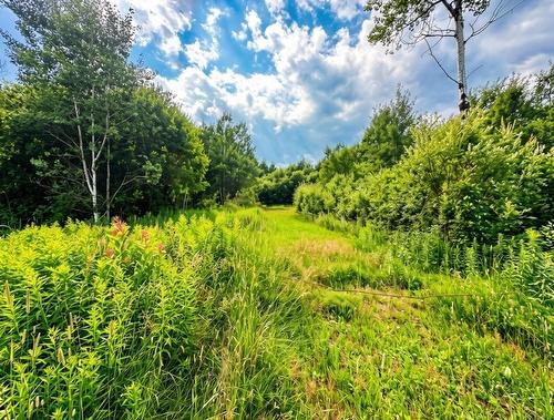 161 Valley Road, Dorion, ON 