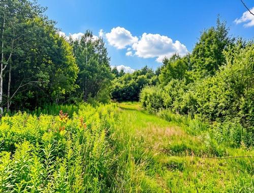 161 Valley Road, Dorion, ON 