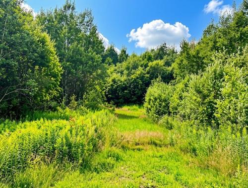 161 Valley Road, Dorion, ON 