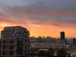 View - 