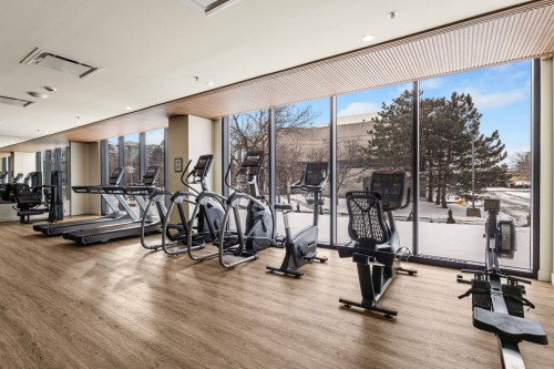 Exercise Room - 802-1000 Rue Levert, Montréal (Verdun/Île-Des-Soeurs), QC - Indoor Photo Showing Gym Room