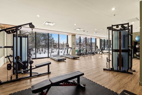 Exercise Room - 802-1000 Rue Levert, Montréal (Verdun/Île-Des-Soeurs), QC - Indoor Photo Showing Gym Room