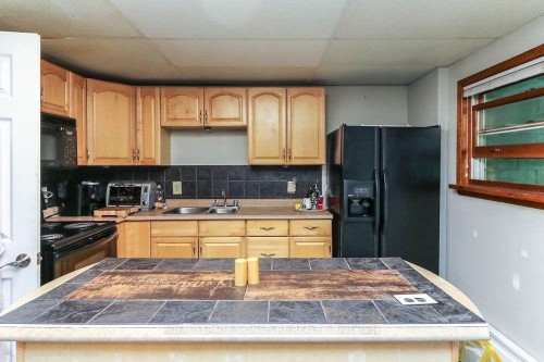 1729 Mosley Street, Wasaga Beach, ON - Indoor Photo Showing Kitchen With Double Sink