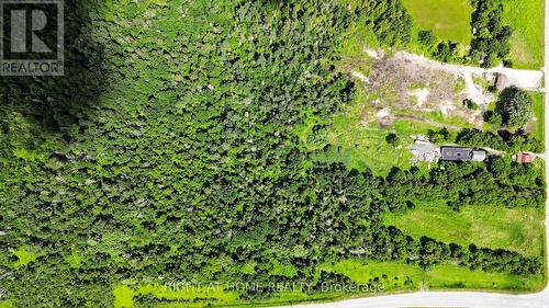 2884 County Rd 89, Innisfil, ON - Outdoor