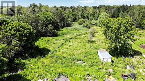 2884 County Rd 89, Innisfil, ON - Outdoor With View