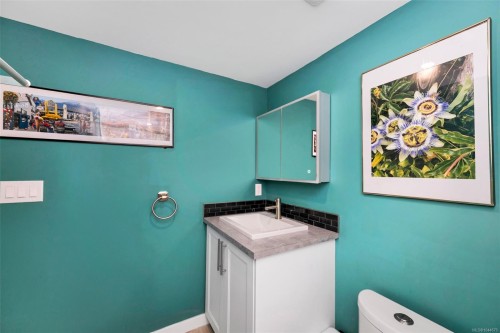 #201-3900 Shelbourne St, Saanich, BC - Indoor Photo Showing Bathroom