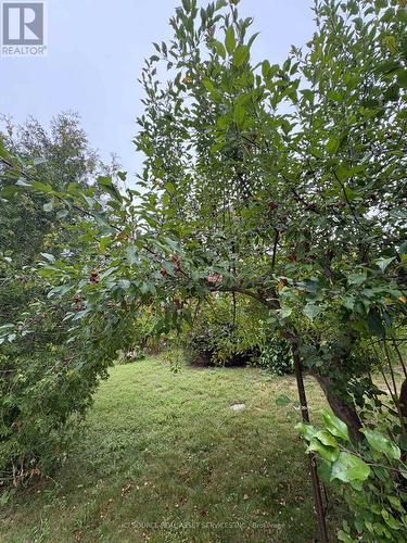 2 Woodcrest Court, Kitchener, ON - Outdoor