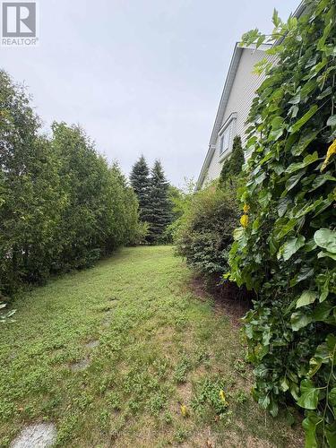 2 Woodcrest Court, Kitchener, ON - Outdoor