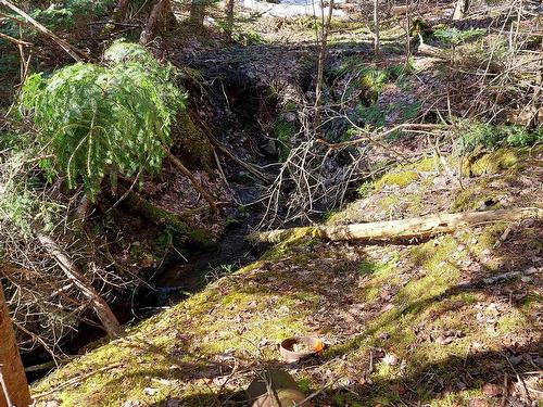 10 Acre Lower River Rd, Hureauville, NS 