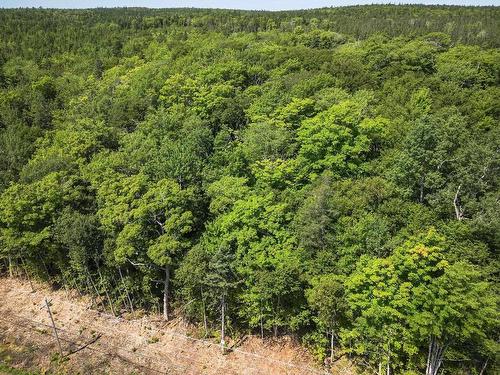10 Acre Lower River Rd, Hureauville, NS 