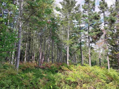 10 Acre Lower River Rd, Hureauville, NS 