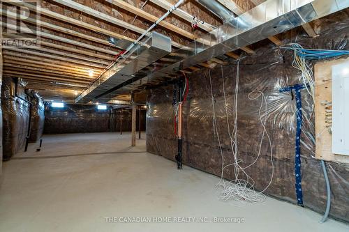 3 Blain Drive, Hamilton, ON - Indoor Photo Showing Basement