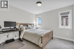 Carpeted room featuring light gray walls and white trim - 