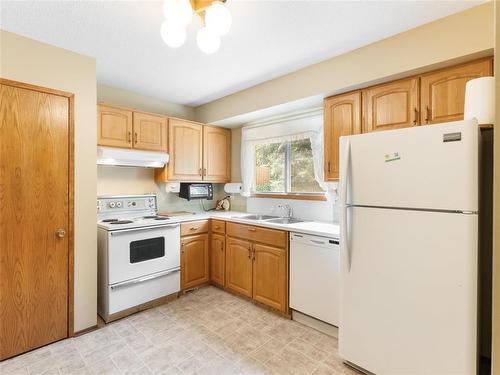Kitchen with pantry - 129 St Michael Road, Winnipeg, MB - Indoor Photo Showing Kitchen With Double Sink