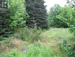 54 N Robert's Road N Conception Bay South, NL A1X 6K2