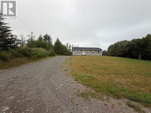 24 Branch Road, Winterland, NL - Outdoor
