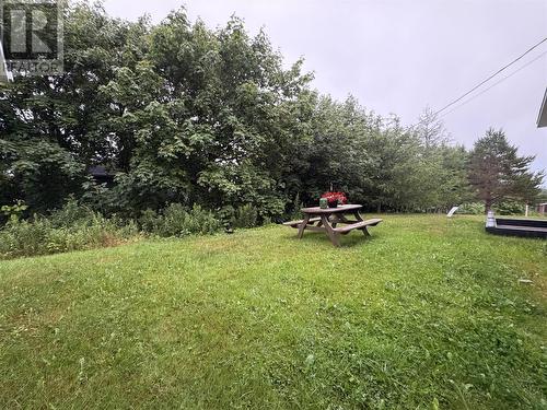24 Branch Road, Winterland, NL - Outdoor