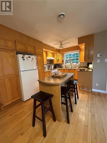 24 Branch Road, Winterland, NL - Indoor Photo Showing Kitchen