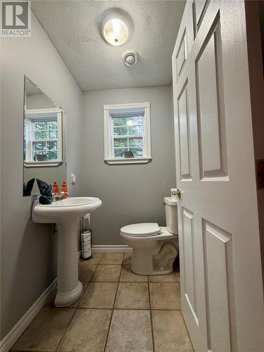 24 Branch Road, Winterland, NL - Indoor Photo Showing Bathroom