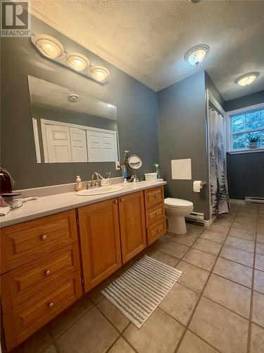 24 Branch Road, Winterland, NL - Indoor Photo Showing Bathroom
