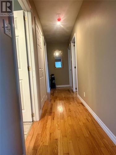 24 Branch Road, Winterland, NL - Indoor Photo Showing Other Room
