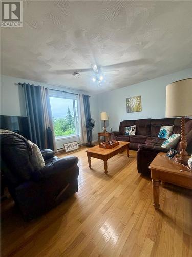 24 Branch Road, Winterland, NL - Indoor Photo Showing Other Room