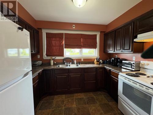 23 Georgia Loop, Stephenville, NL - Indoor Photo Showing Kitchen With Double Sink