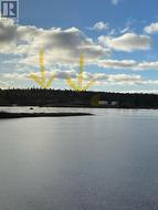 106 Memorial Drive  Lumsden, NL None