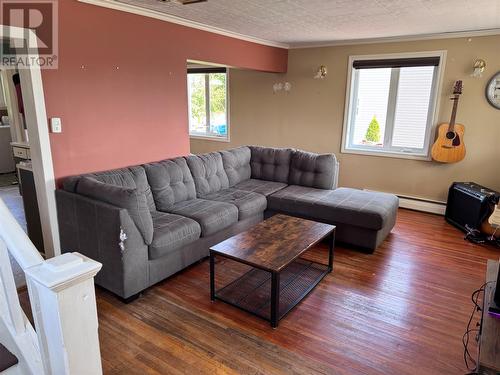 122 Lincoln Road, Grand Falls-Windsor, NL - Indoor Photo Showing Living Room