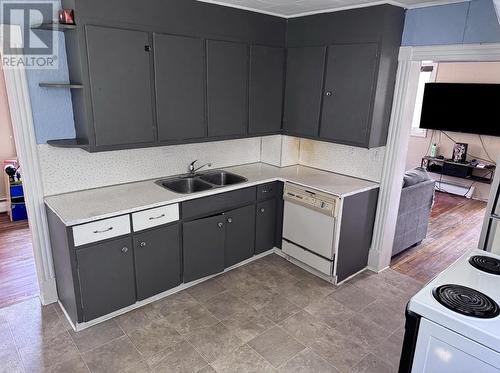 122 Lincoln Road, Grand Falls-Windsor, NL - Indoor Photo Showing Kitchen With Double Sink