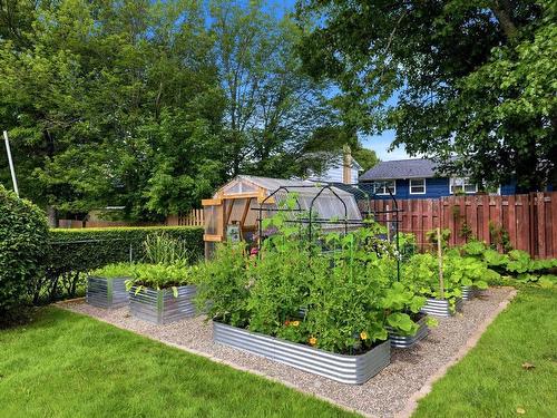 87 Russell Street, Dartmouth, NS - Outdoor With Backyard