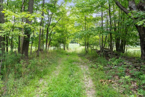 Terre/Terrain - 1212 Ch. Dutch, Saint-Armand, QC 